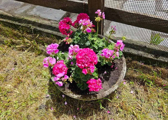 Accogliente Casa Con Giardino アパート