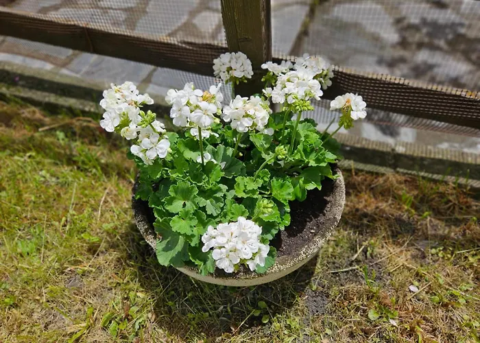 アパート Accogliente Casa Con Giardino クールマイユール