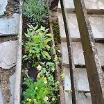 Apartman Accogliente Casa Con Giardino
