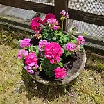Accogliente Casa Con Giardino Апартаменти