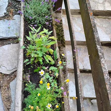 Appartamento Accogliente Casa Con Giardino