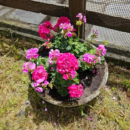 Accogliente Casa Con Giardino דירה