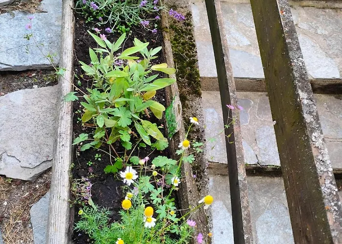 Appartement Accogliente Casa Con Giardino